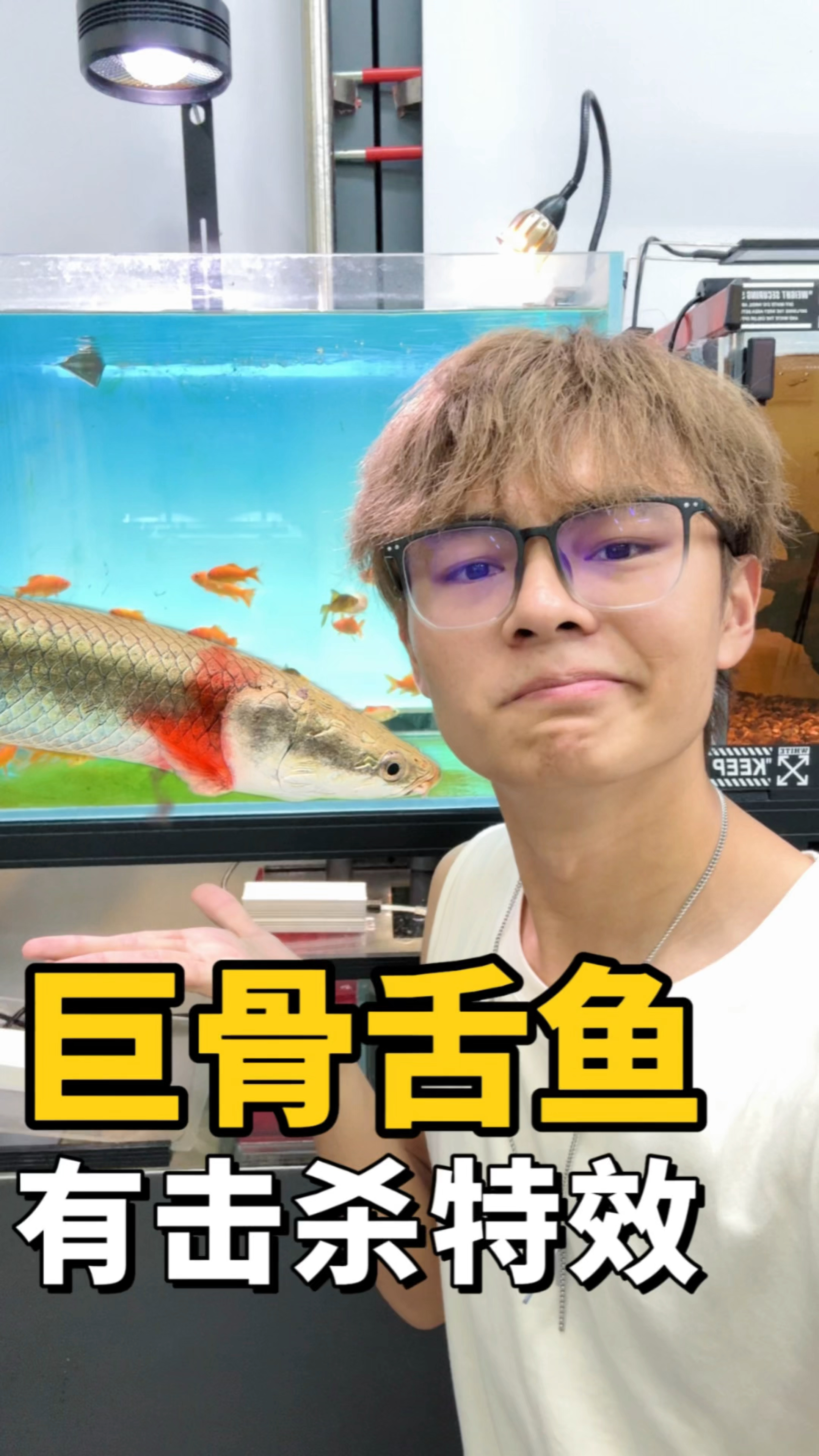 听说巨骨舌鱼吃东西有击杀特效?
