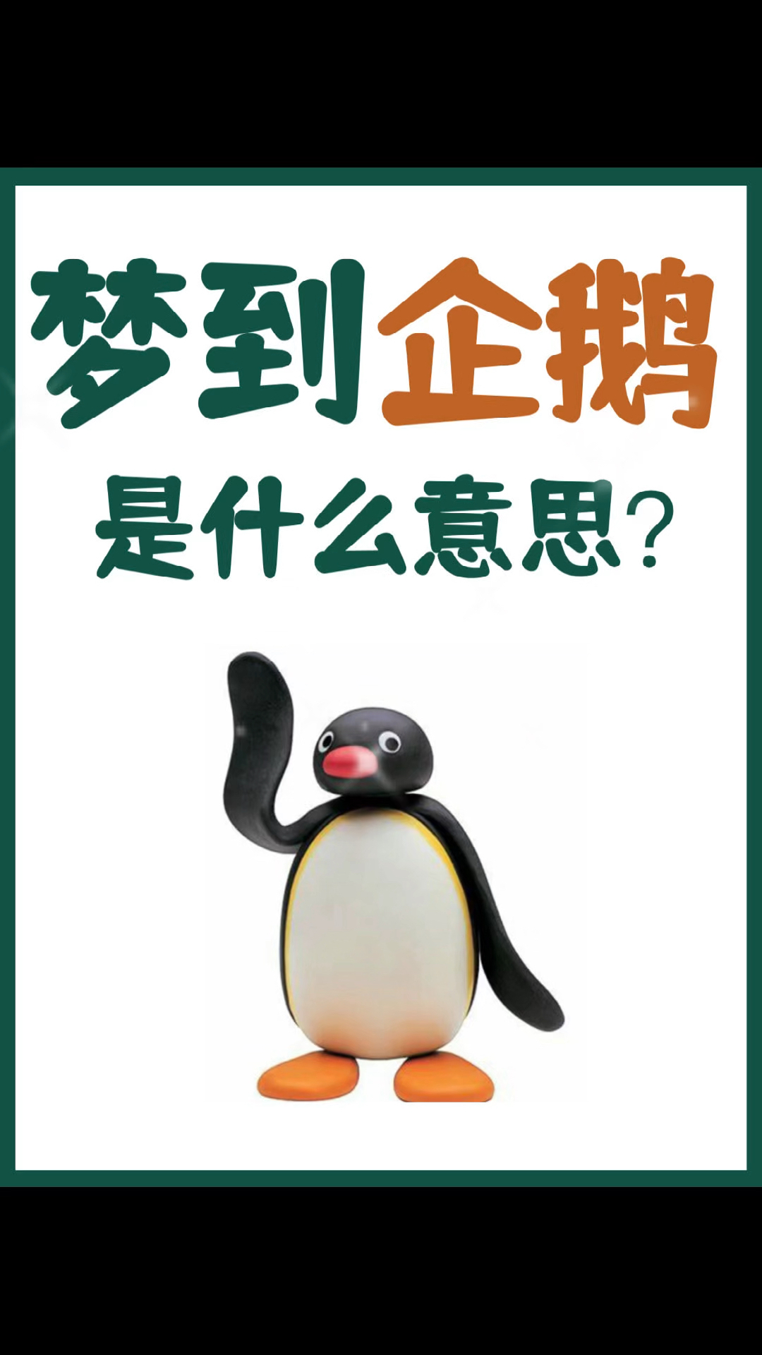 梦见企鹅是什么预兆?看完这些你就懂了!