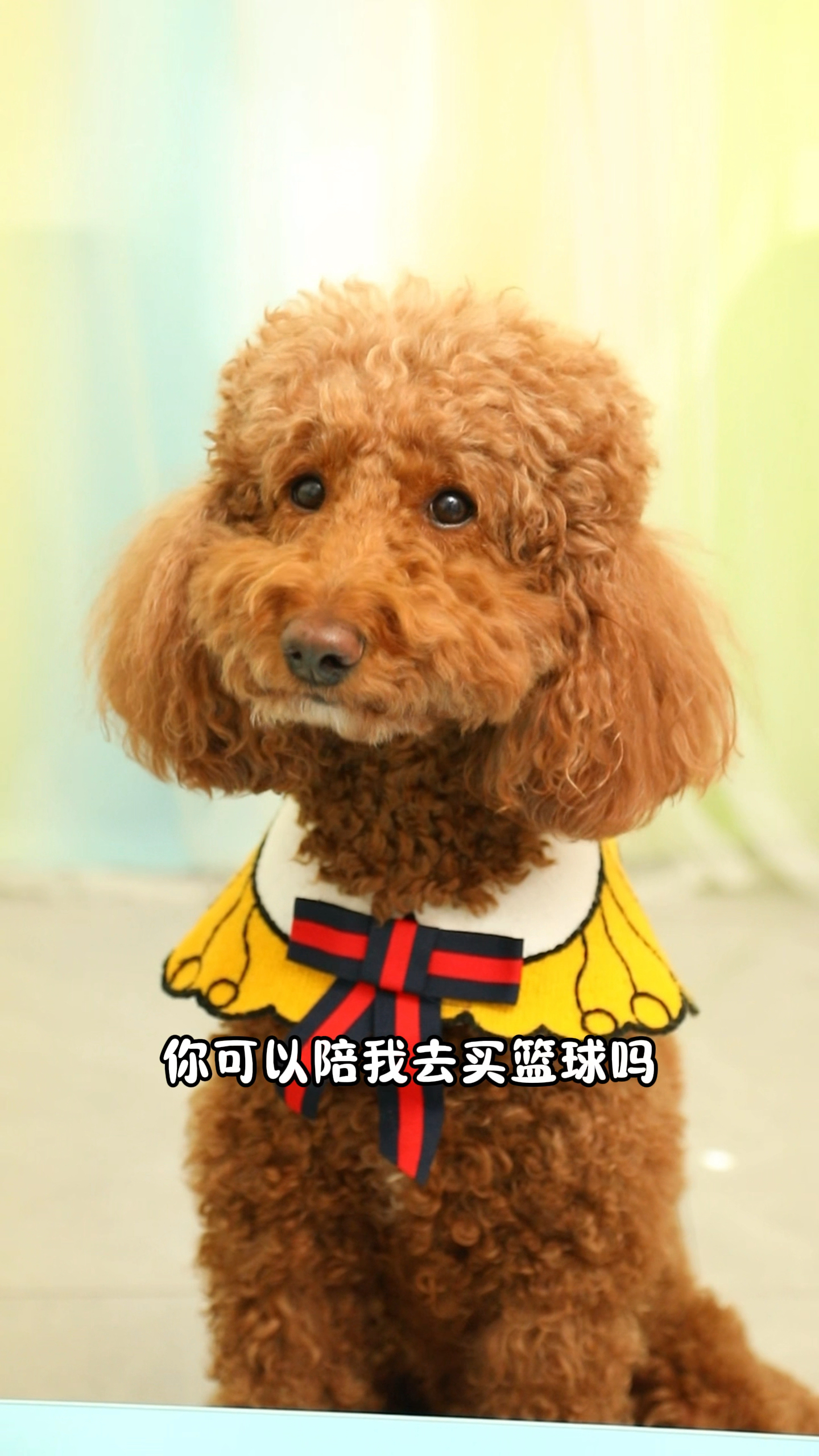 蓝莓酸奶真的不好喝吗