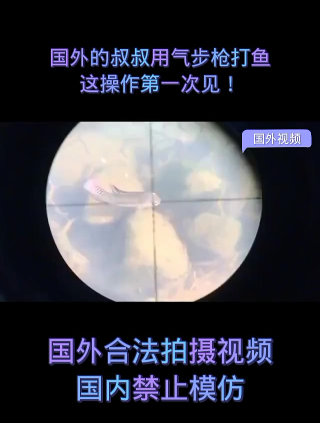 国外的叔叔用气步枪打鱼 这操作第一次见
