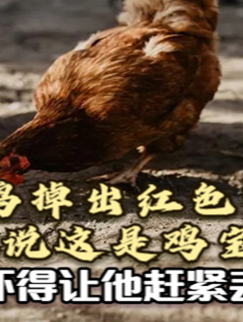 农民杀鸡掉出红色肉球,老人说这是鸡宝,村医却吓得让他赶紧丢掉
