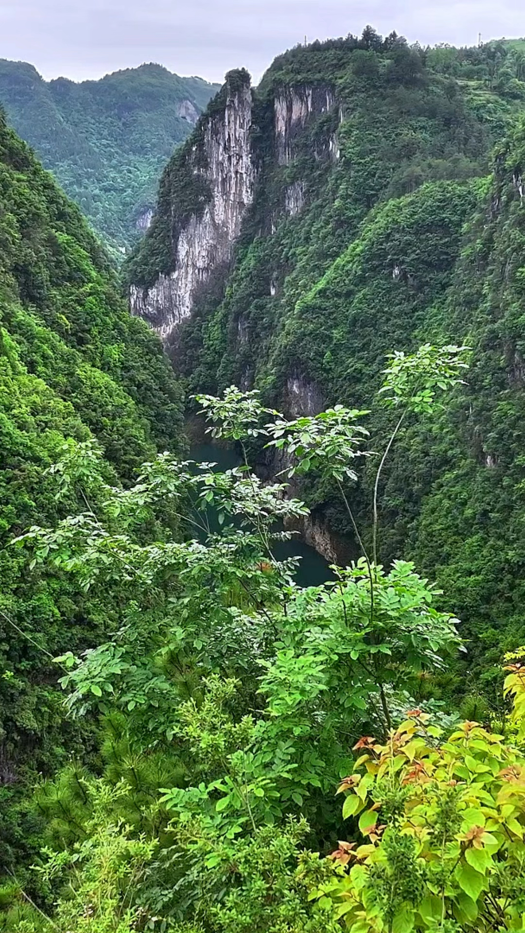 亿万年的洪荒之力,造就了这个大峡谷,奇景怪石千姿百态