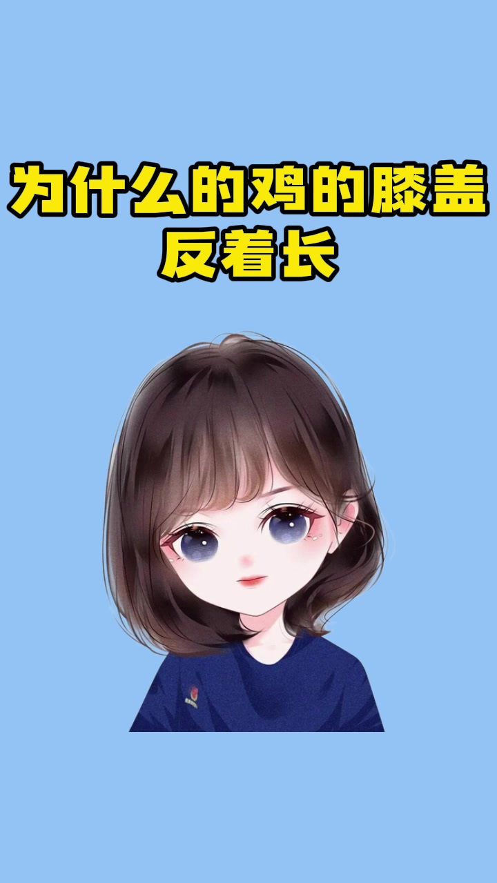 为什么的鸡的膝盖反着长