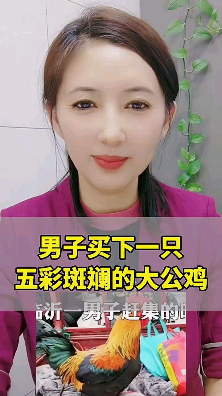 男子买下一只五彩斑斓的大公鸡