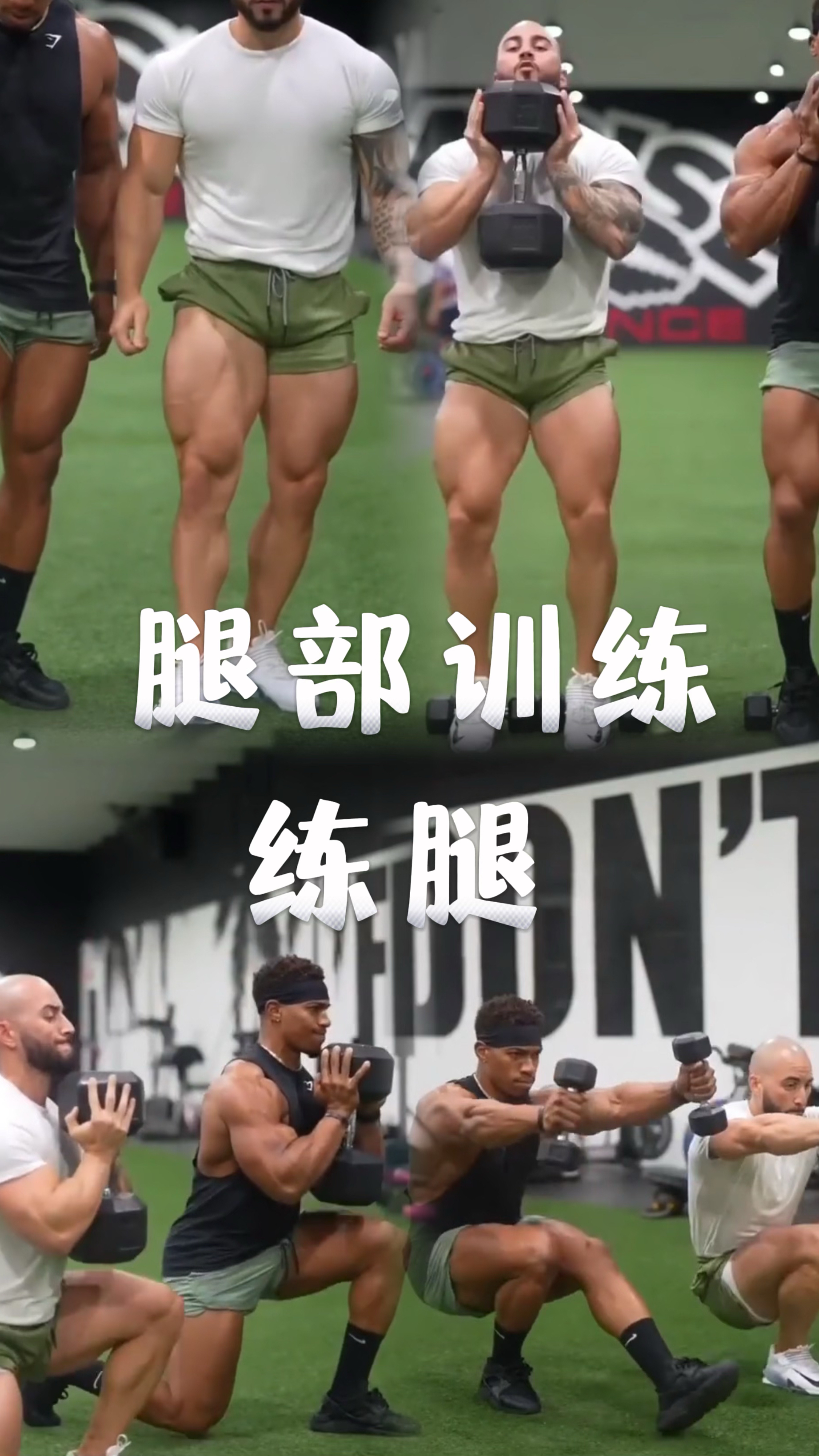 腿部训练,下肢力量训练,练出强壮又有型的腿部肌肉