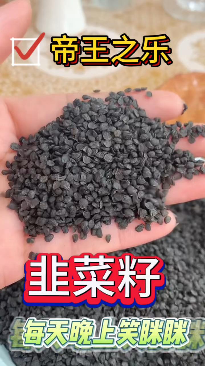 韭菜籽-花小钱.办大事