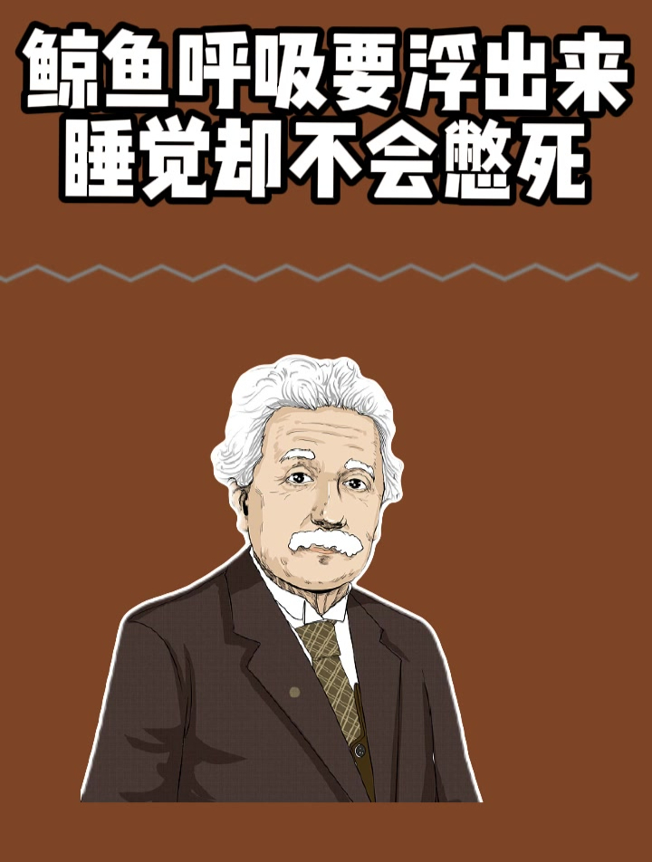鲸鱼呼吸要浮出水面,那在海里睡觉为什么不会憋死呢