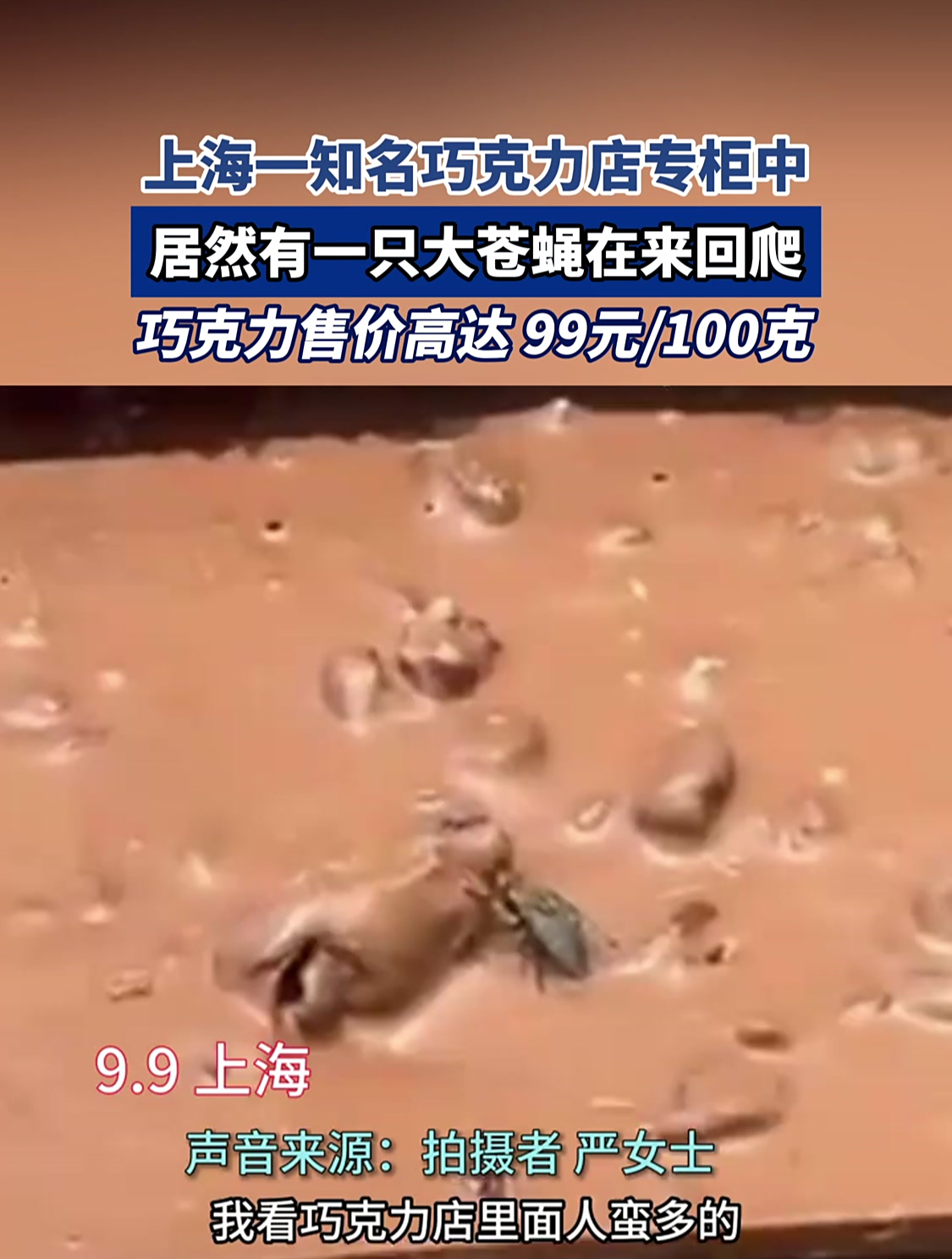 上海一知名巧克力店专柜中居然有一只大苍蝇在来回爬