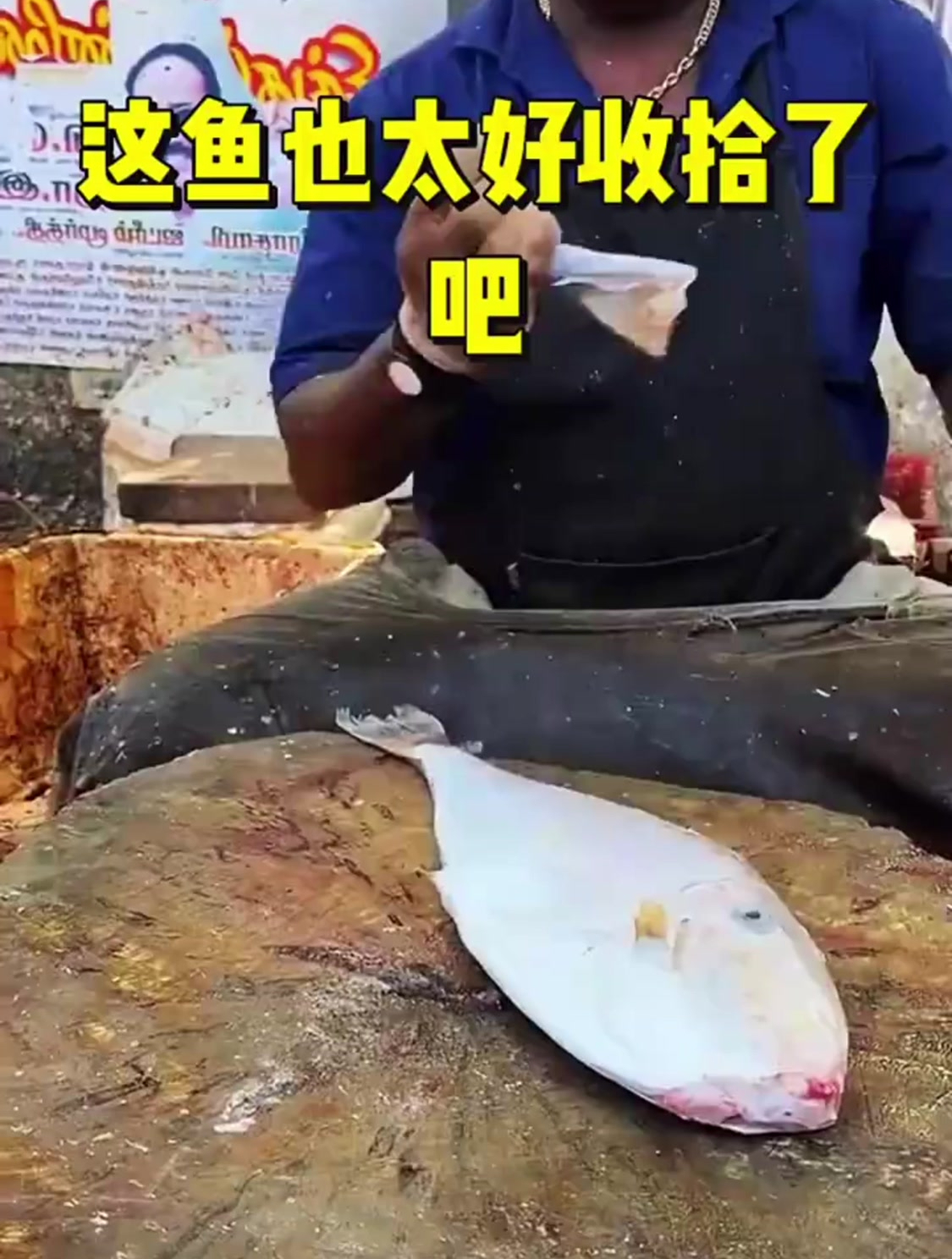 这鱼也太好收拾了吧