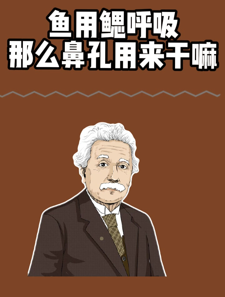 鱼用鳃呼吸,那么鼻孔用来干什么呢