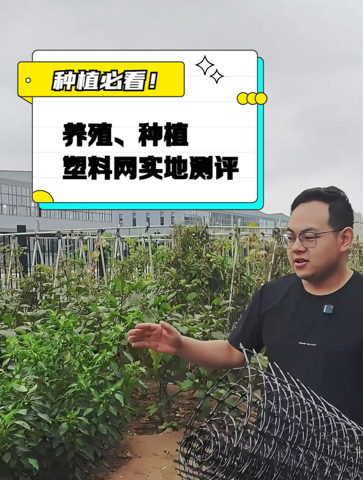 实地测评高效种植塑料网,养殖、种植必备的好物!