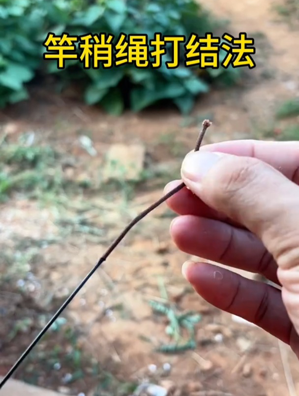 钓鱼竿稍打结方法,简单易学适合新手!