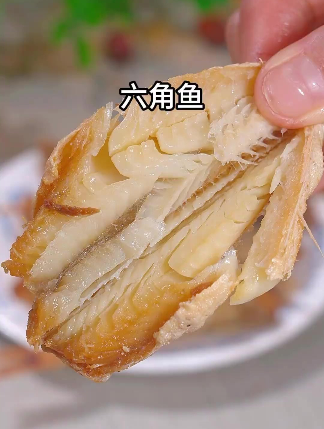 这是湛江的特产红娘子鱼 肉质鲜嫩 没有小刺 老人孩子都能吃