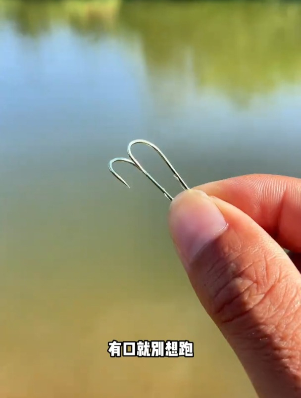 钓翘嘴草鱼鳊鱼,用什么样的鱼钩才能钓得大?