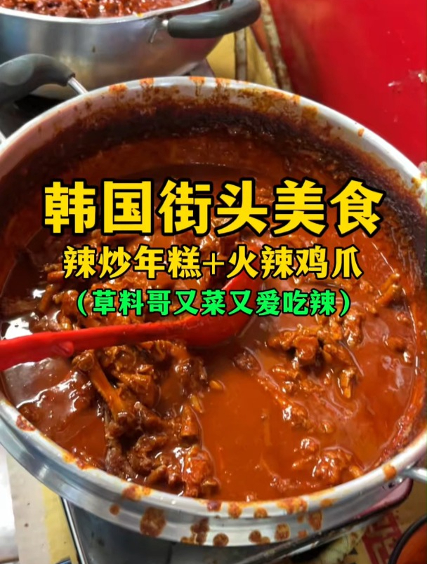 韩国街头美食 辣炒年糕+火辣鸡爪