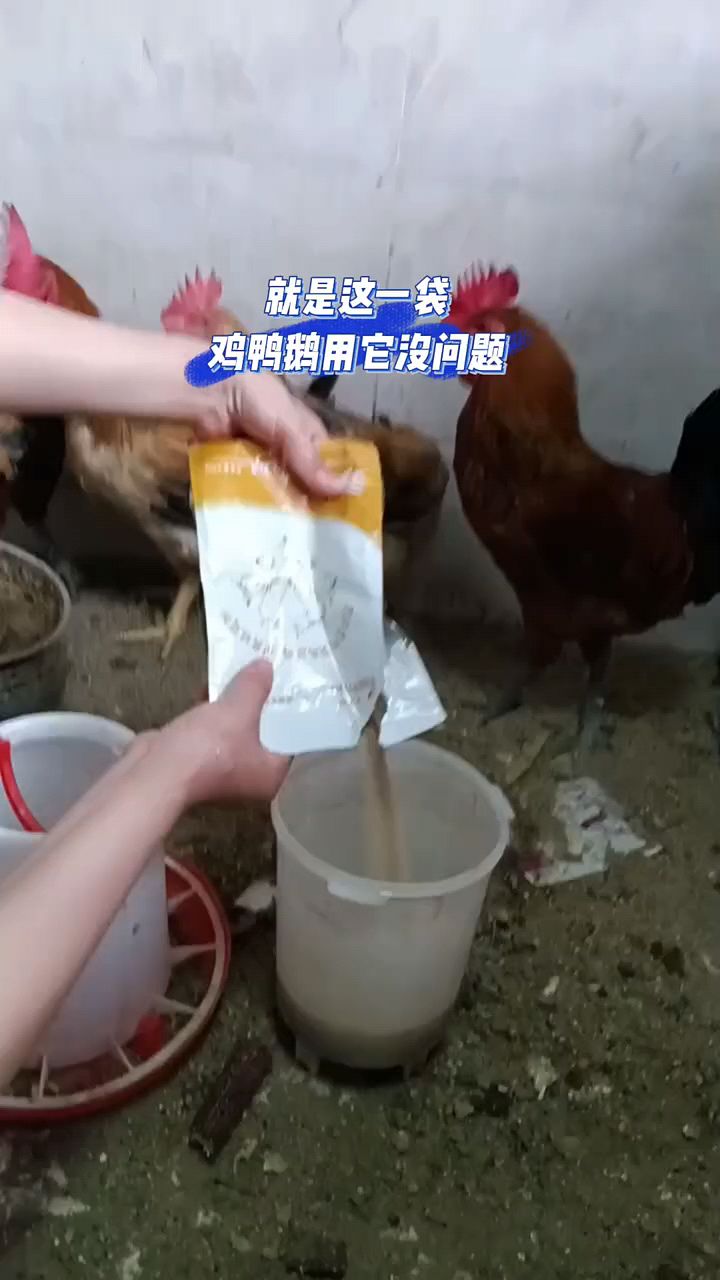 养殖鸡鸭鹅你就用这一袋