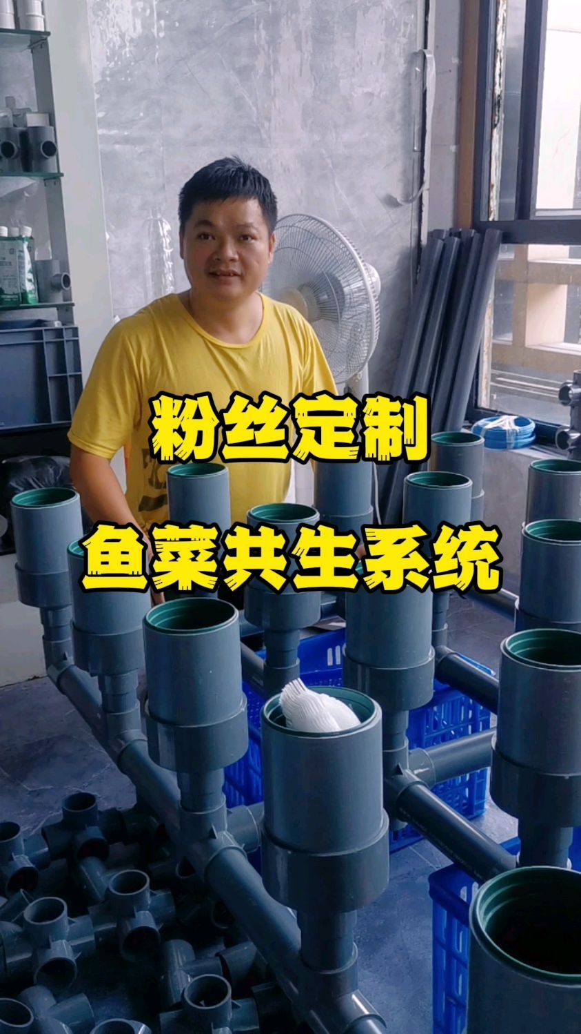 适合院子楼顶阳台的鱼菜共生系统#鱼菜共生#家庭农场#阳台种菜