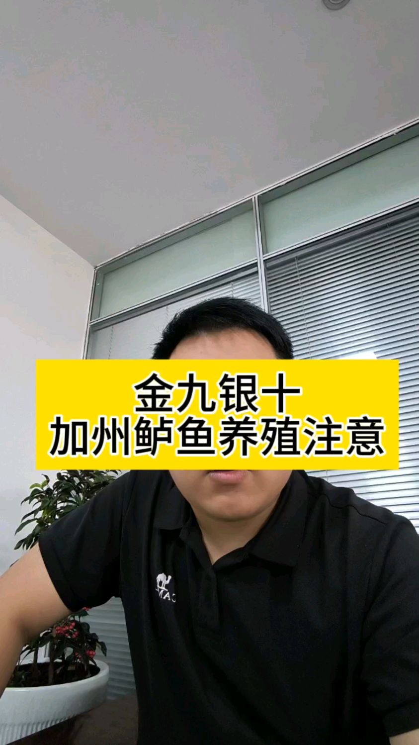 金九银十加州鲈鱼养殖要点