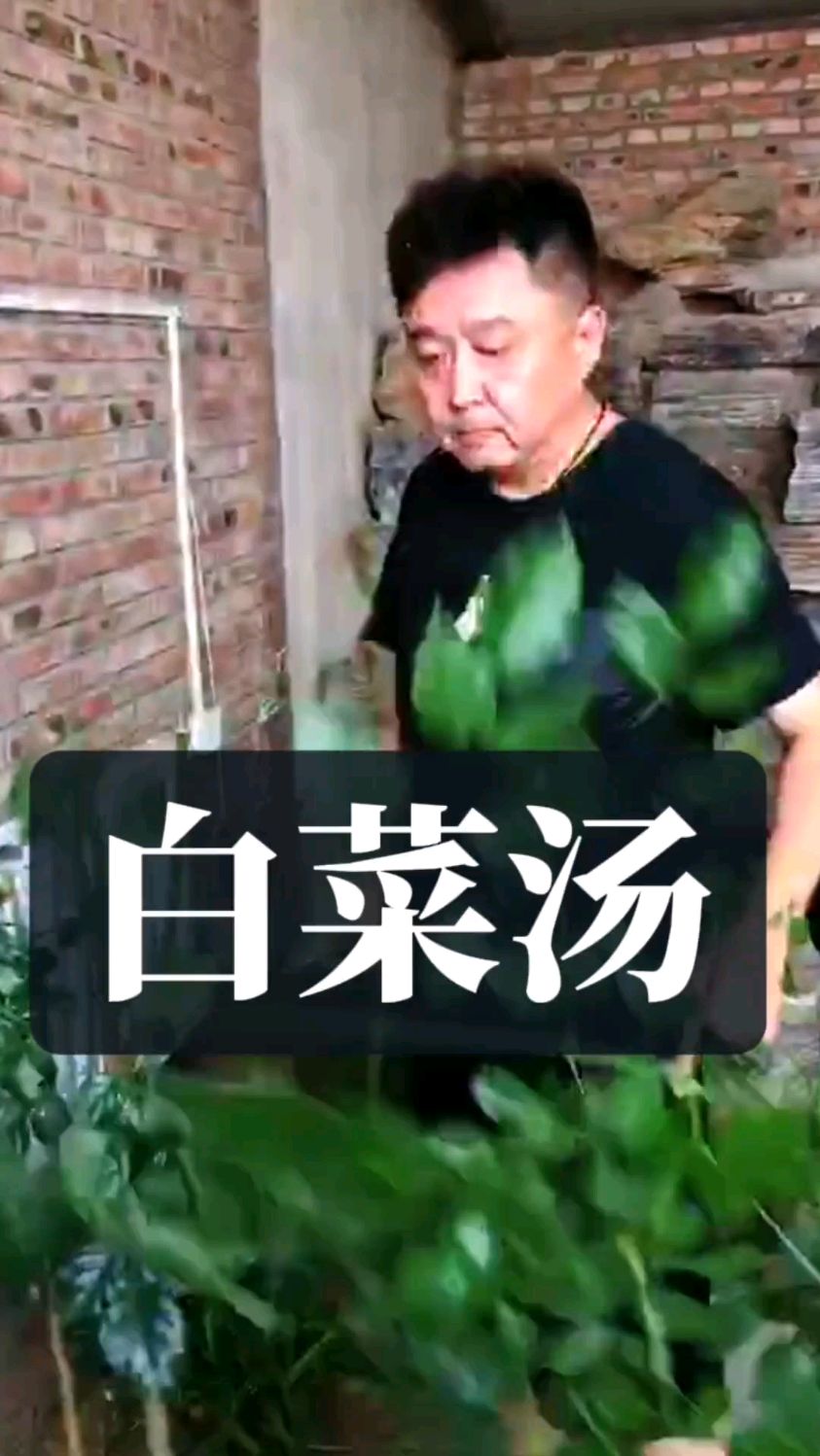 于谦聊美食:虾皮白菜汤的做法。 我做的白菜汤湛青碧绿喷鼻香