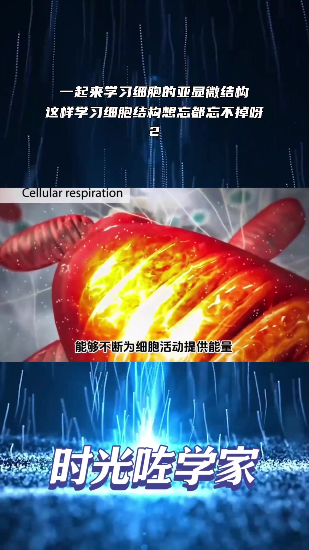 一起来学习细胞的亚显微结构,这样学习细胞结构想忘都忘不掉呀!2