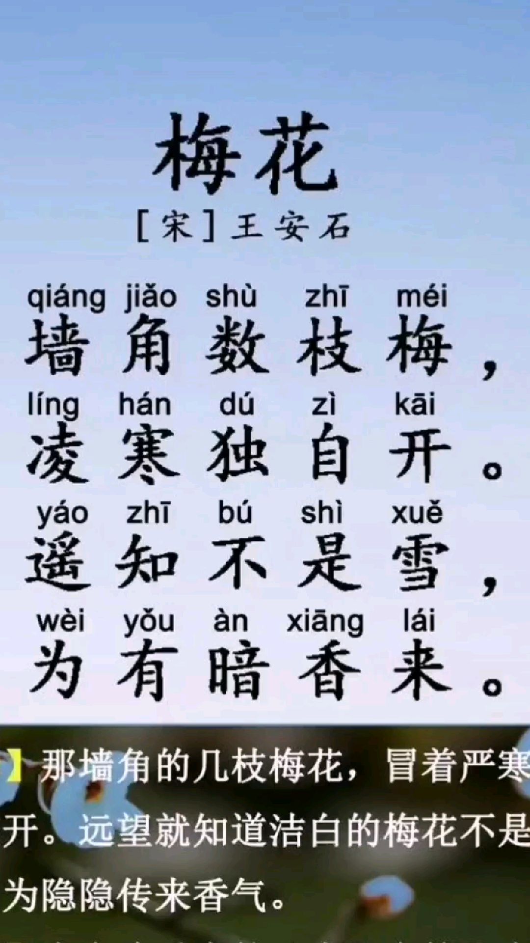 必背古诗王安石《梅花》