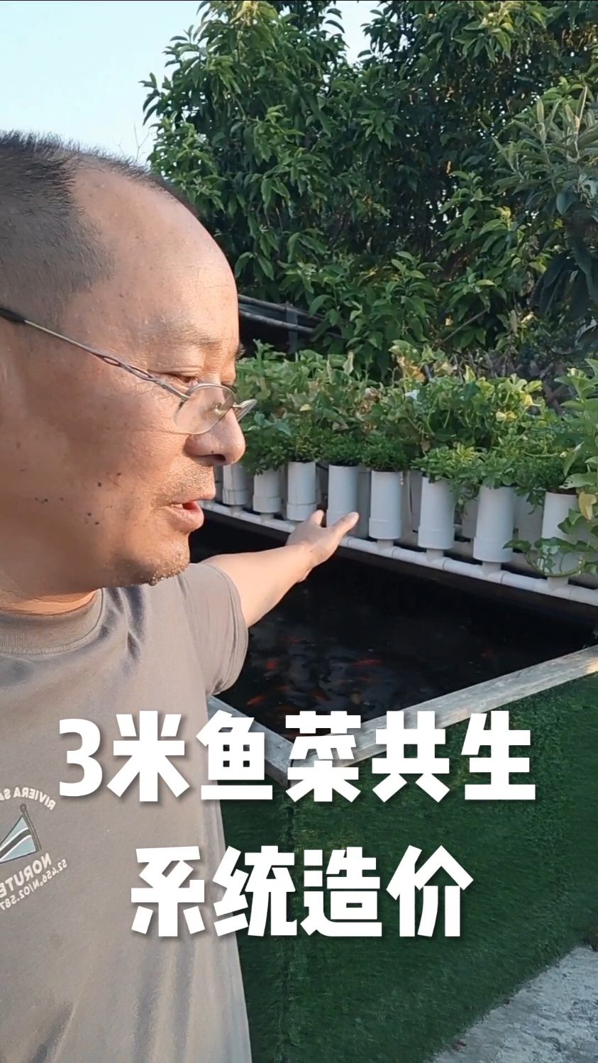 我们鱼菜共生方式建鱼池是很省的建设方案