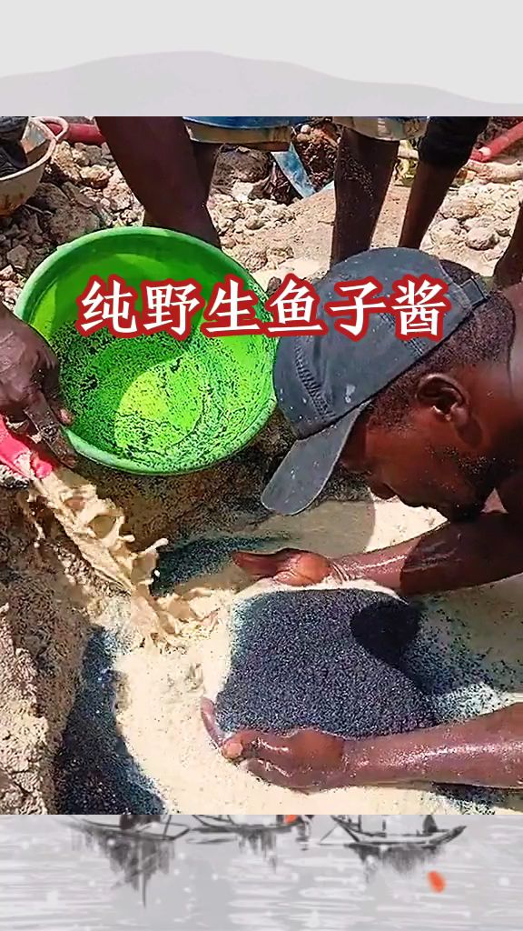 纯野生鱼子酱,价格不菲
