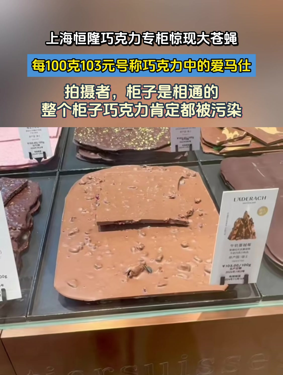 恒隆巧克力专柜惊现大苍蝇 每100克103元号称巧克力中的爱马仕
