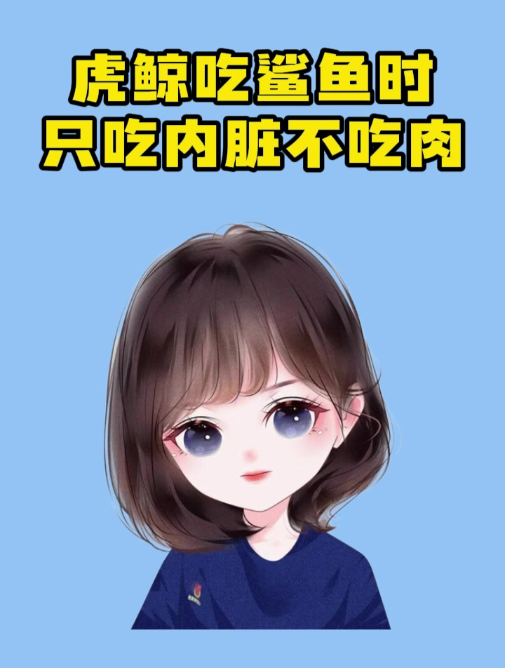 虎鲸吃鲨鱼时,为什么只吃内脏不吃肉