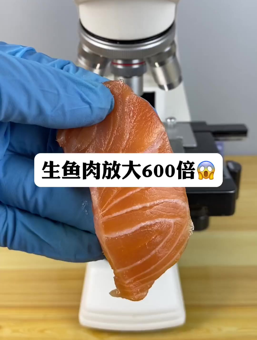 生鱼肉放大600倍显微镜下的世界
