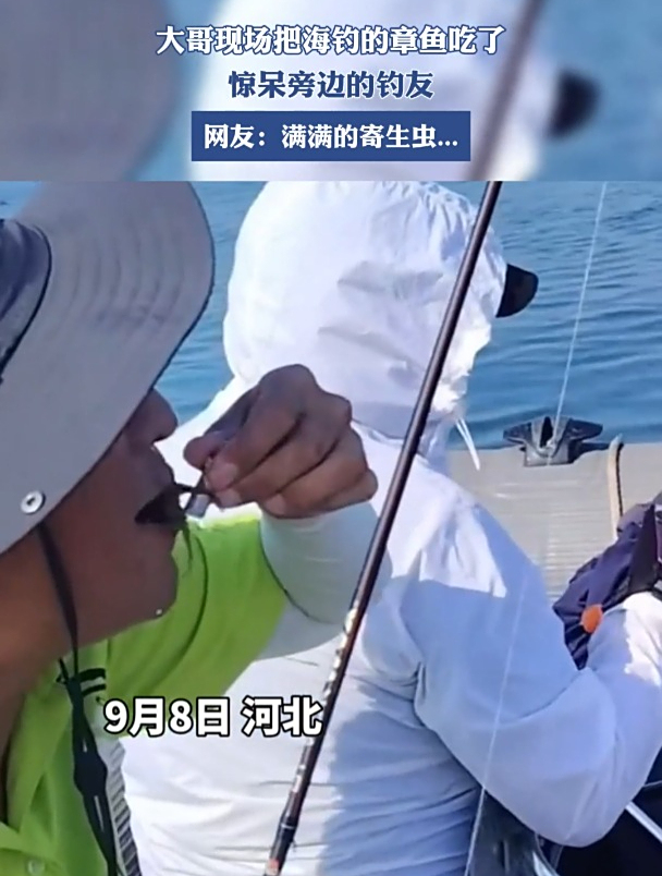 大哥钓上的章鱼吃了,惊呆旁边钓友,网友:满满的寄生虫……