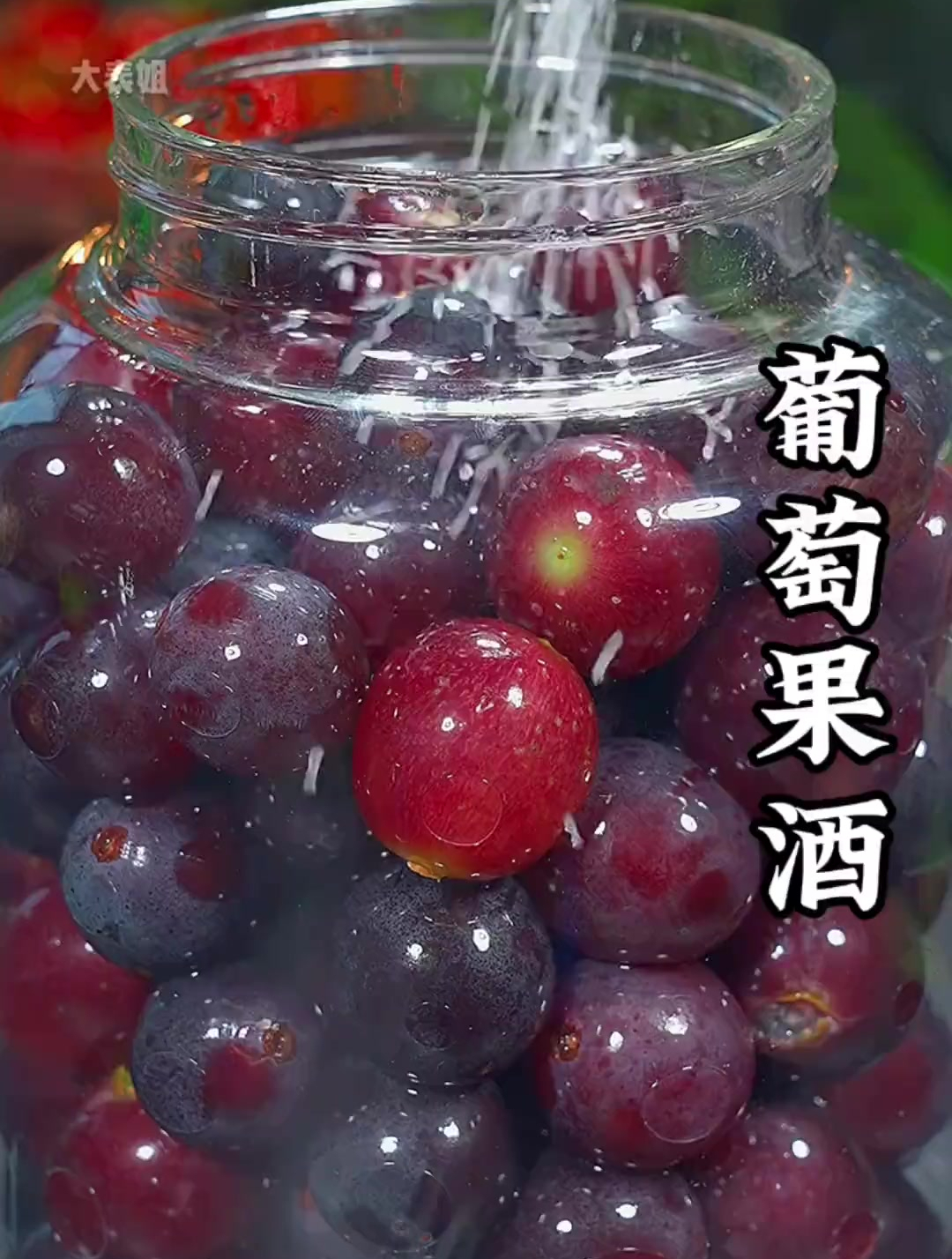 又到了一年一度做葡萄果酒的季节了