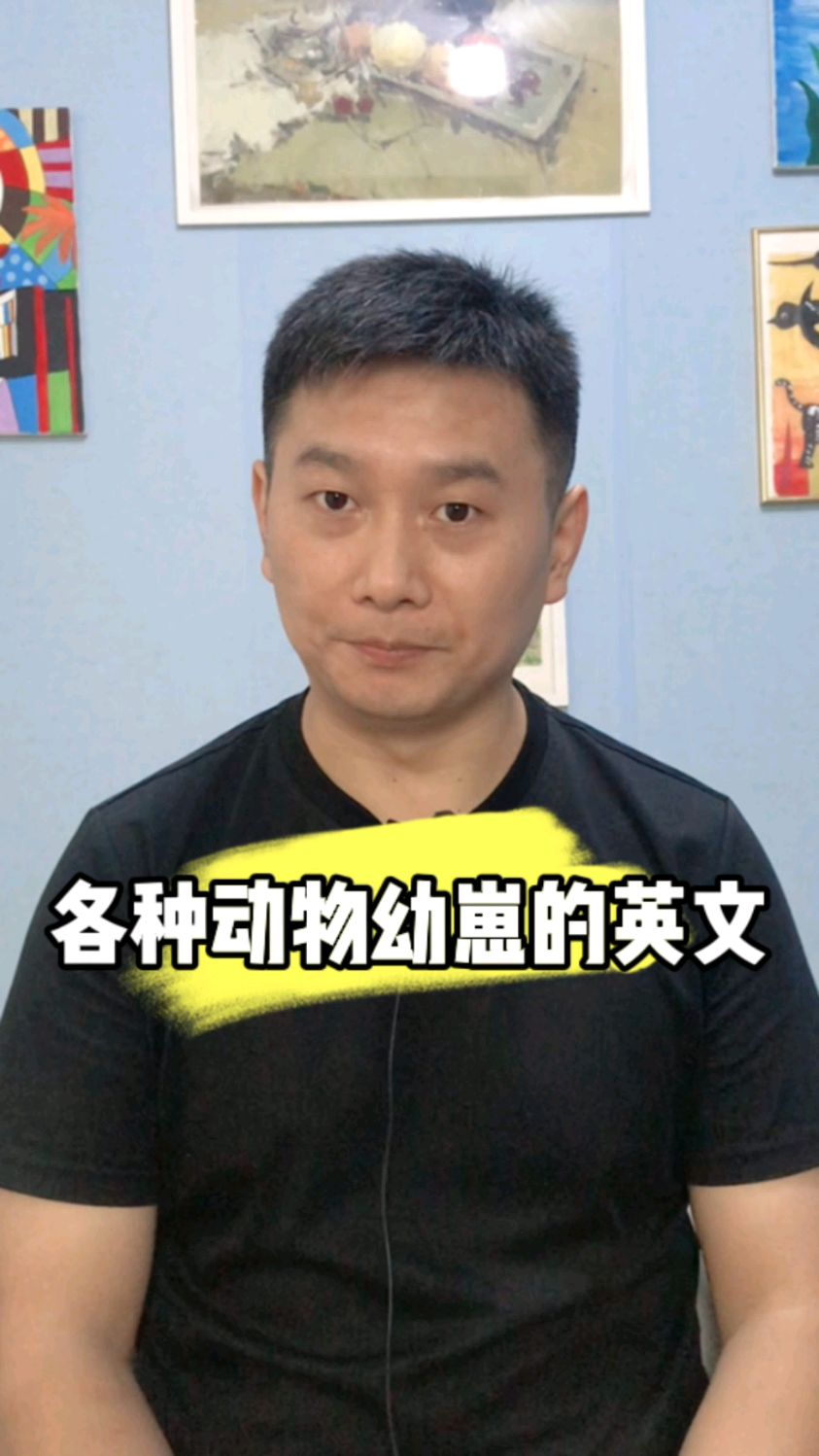 各种动物幼崽的英文