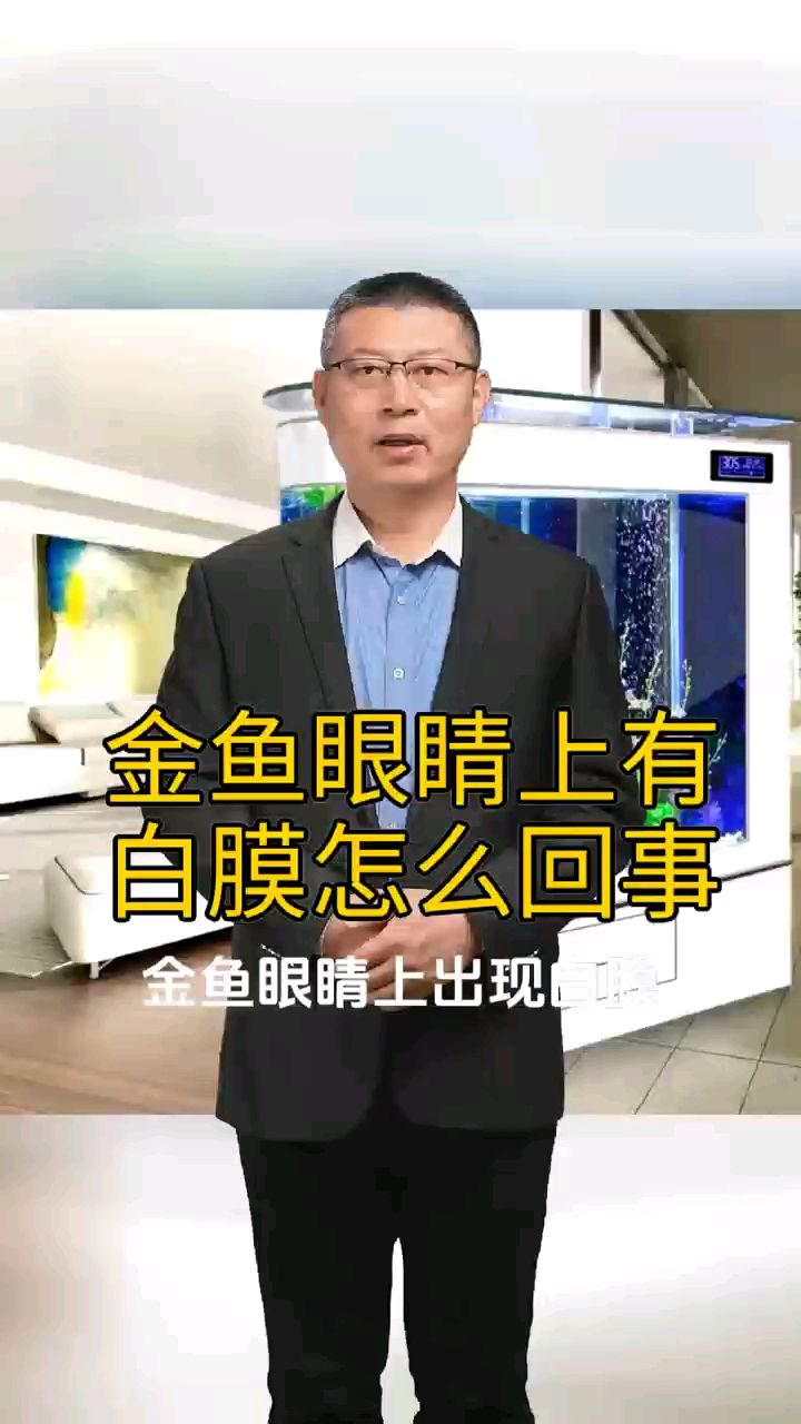 金鱼眼睛上有白膜怎么回事