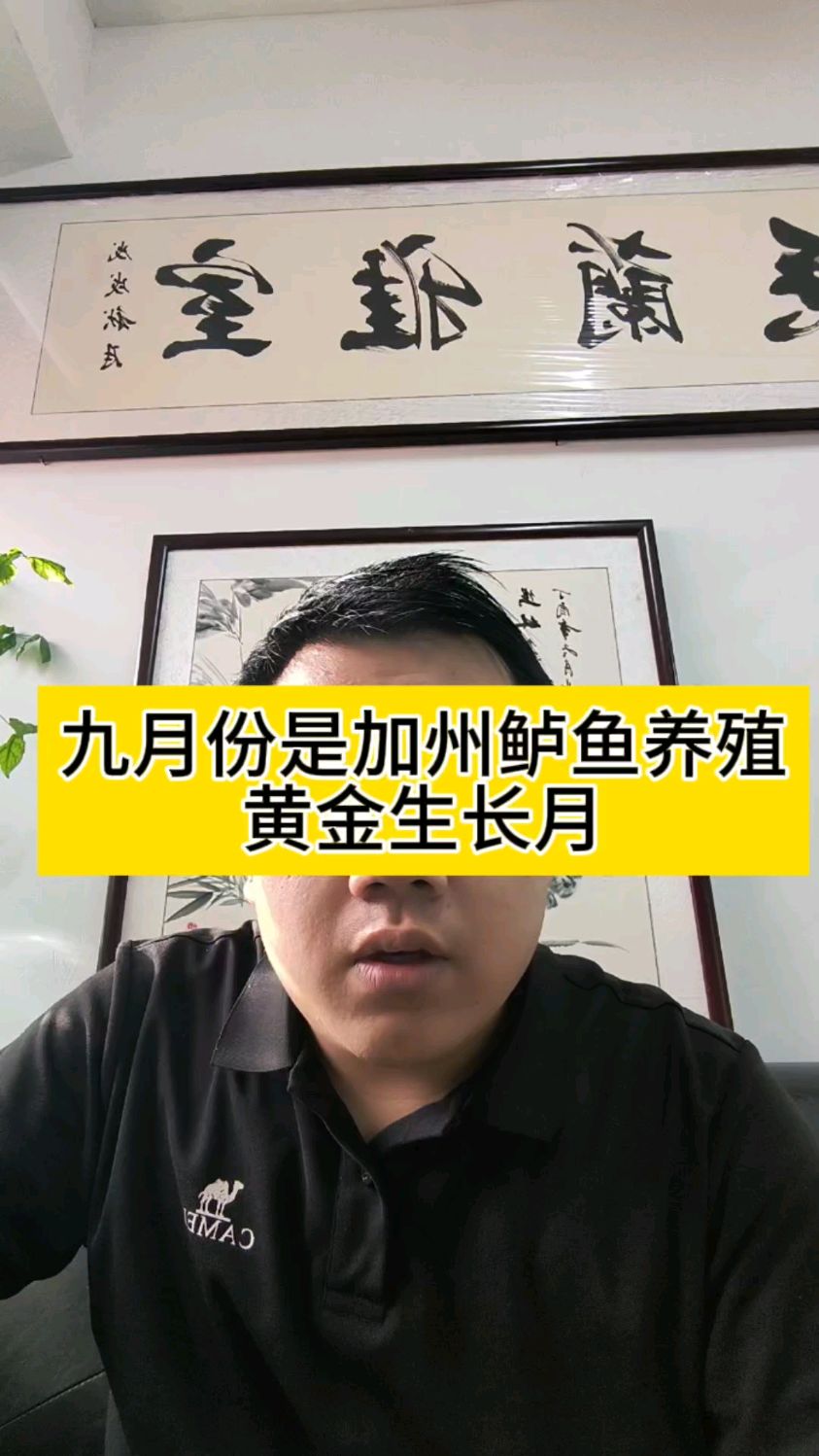 九月份是加州鲈鱼养殖黄金生长月