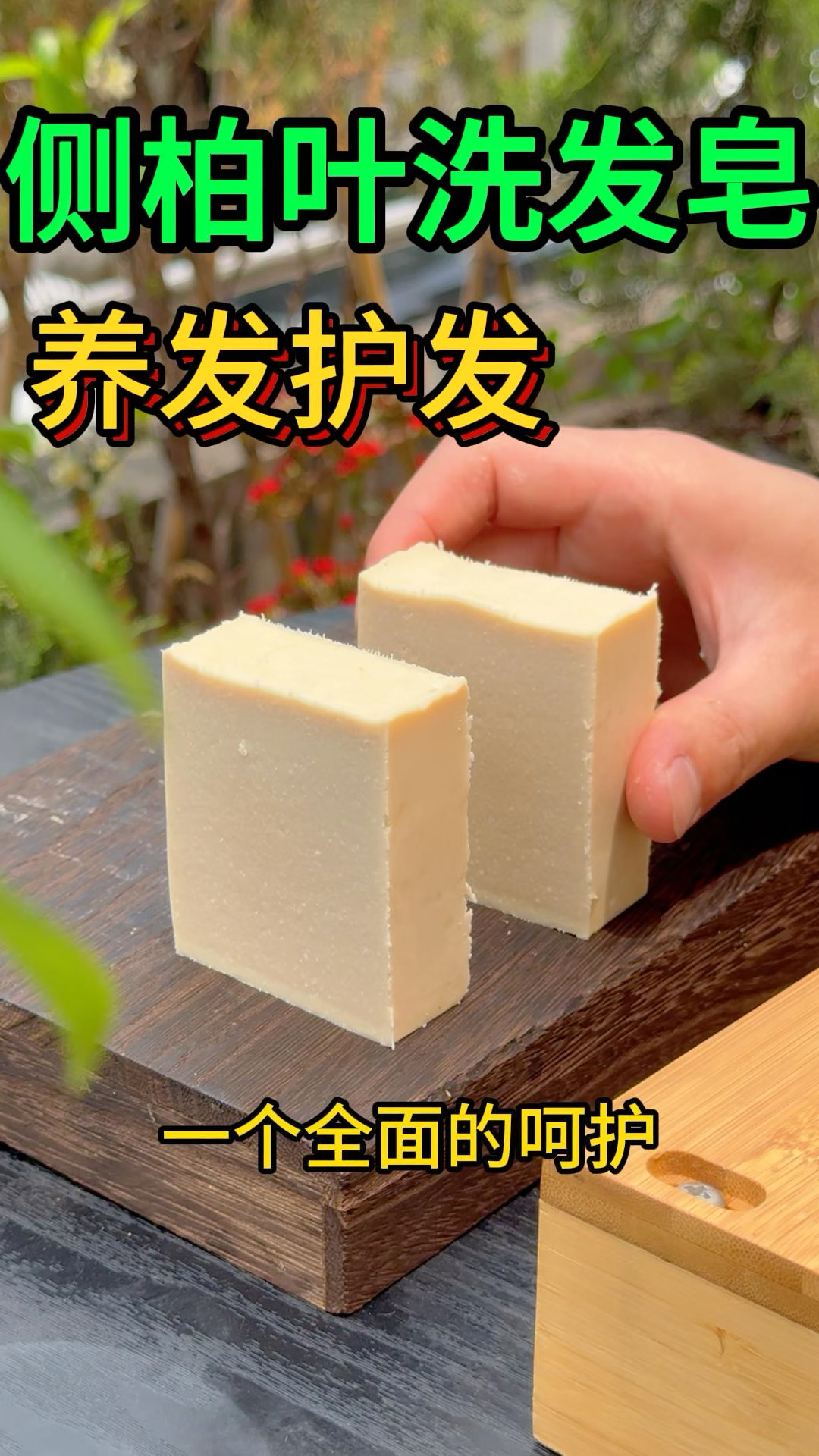 无患子的果实呈球形,成熟时呈黄色或橙黄色,内含黑色的种子