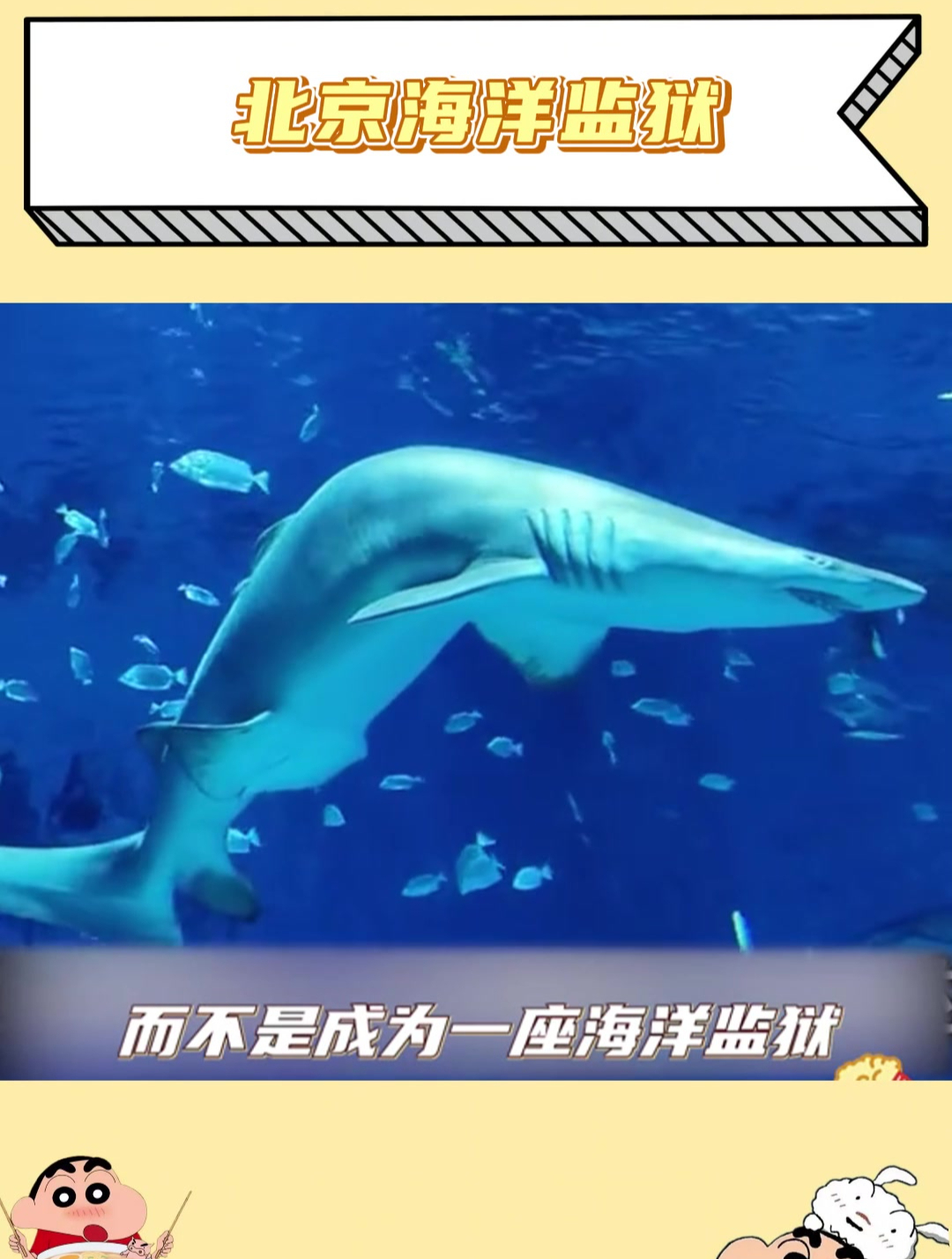 海洋馆是娱乐、保护、科普一体的设施,如果只为盈利那意义何在呢
