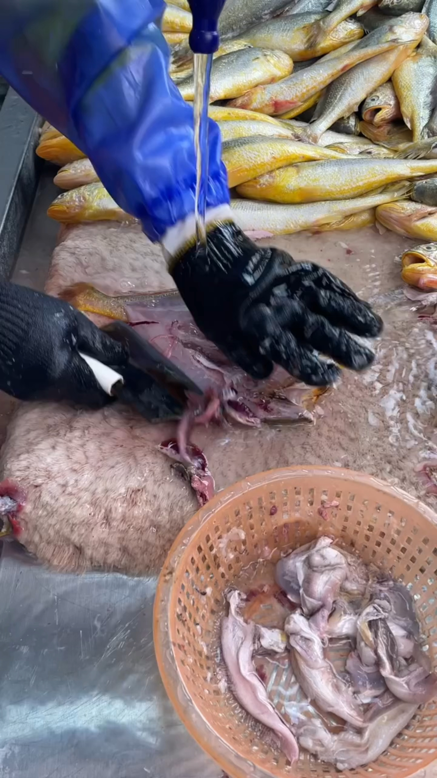 开背黄花鱼,去腮去内脏,回家解冻就可以烹饪～方便