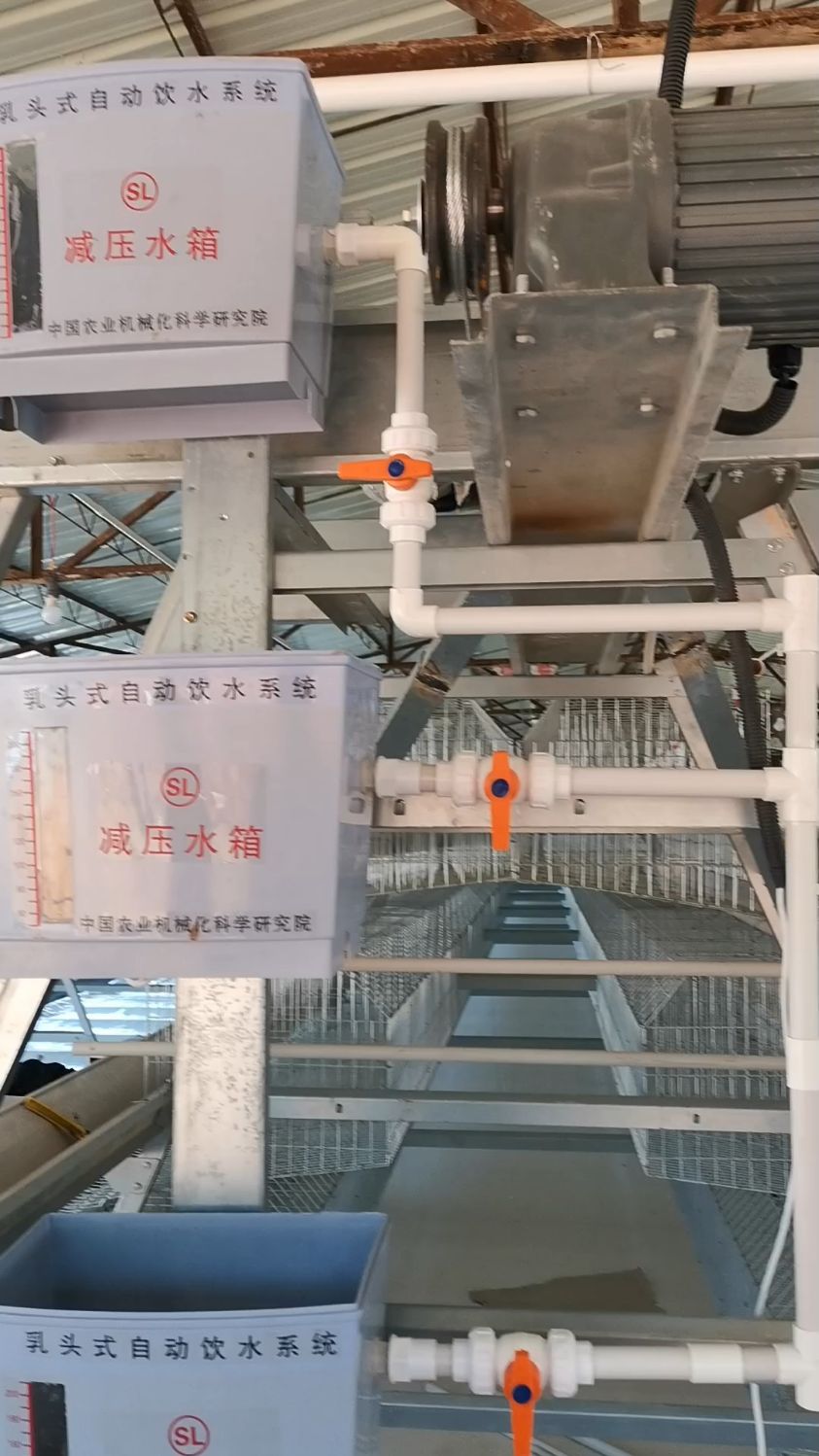 阶梯式蛋鸡笼,框架式蛋鸡笼养设备,皮带清粪机