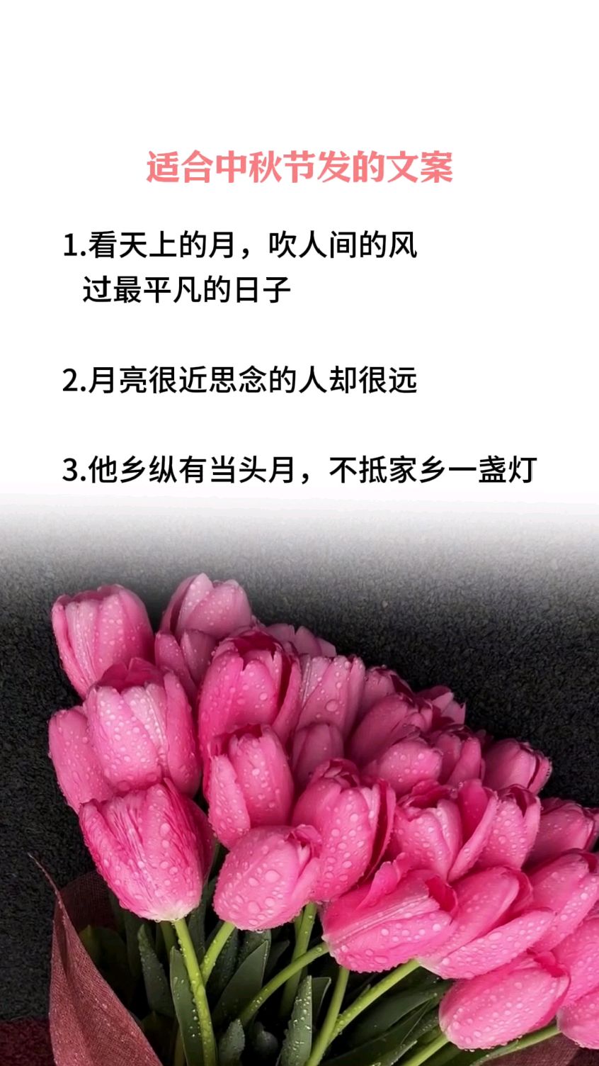 适合中秋节发朋友圈的文案
