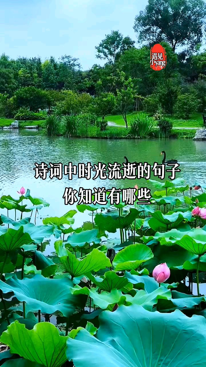 诗词中时光流逝的句子,你知道有哪些?