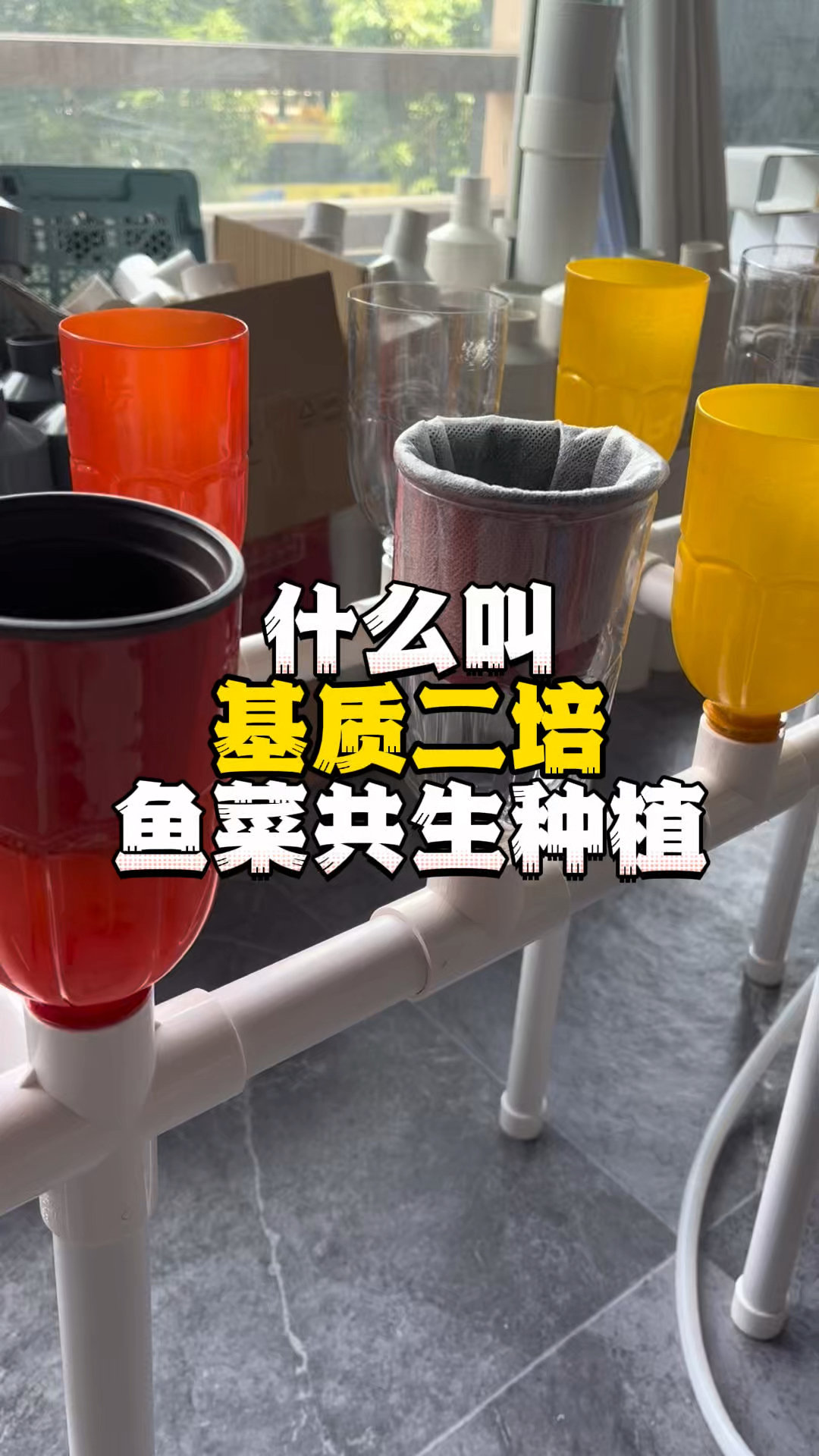 基质二培的鱼菜共生种植方式
