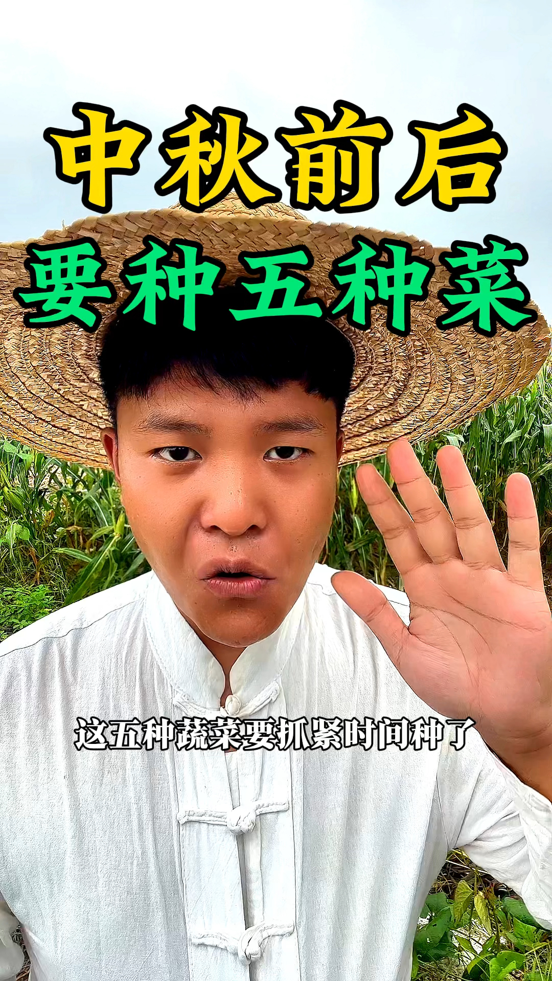 中秋前后这五种蔬菜我们要抓紧时间去播种了