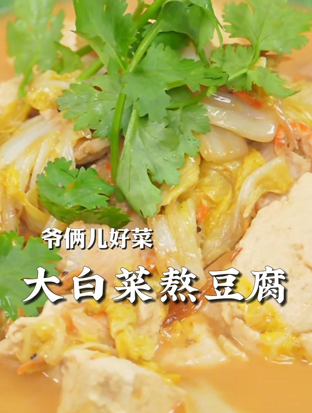 大白菜熬豆腐简单家常还好吃,放点磷虾,做出来的味道更鲜了!