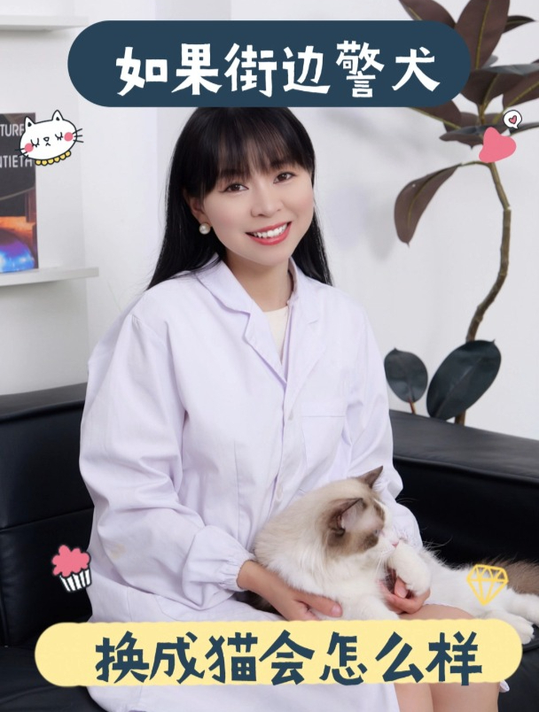 如果街边警犬换成猫会怎么样!