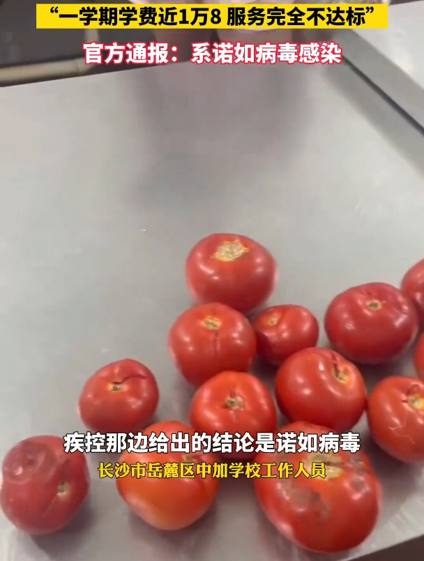 长沙市岳麓区中加学校的学生家长投诉称孩子在学校食堂吃后上吐下泻家长突击检查食堂发现西红柿是