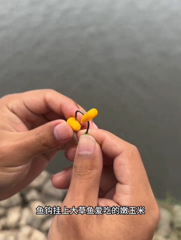 浮钓草鱼怎么选线组?浮钓多深合适?老钓友详细讲解!