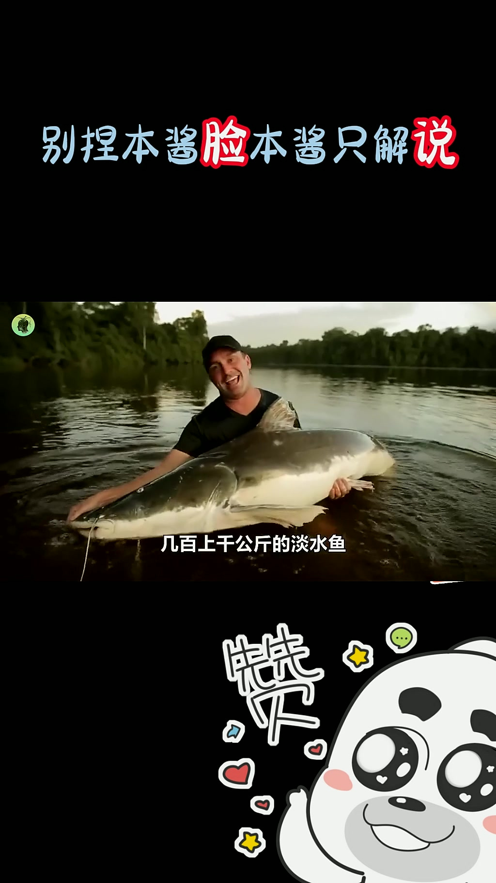 01世界上最大的5种淡水鱼,你见过重达1吨的河流巨怪吗?