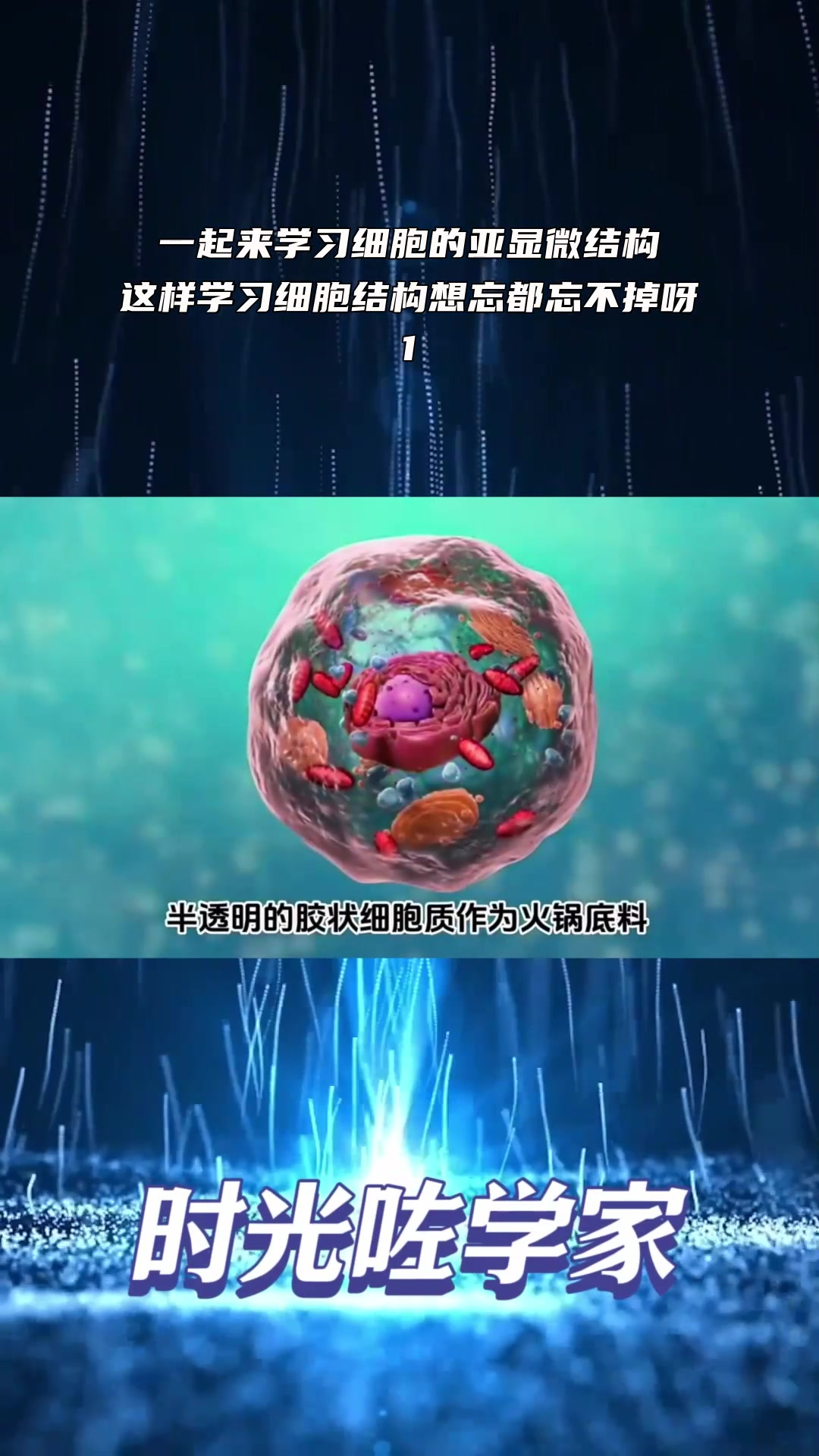 一起来学习细胞的亚显微结构,这样学习细胞结构想忘都忘不掉呀!1