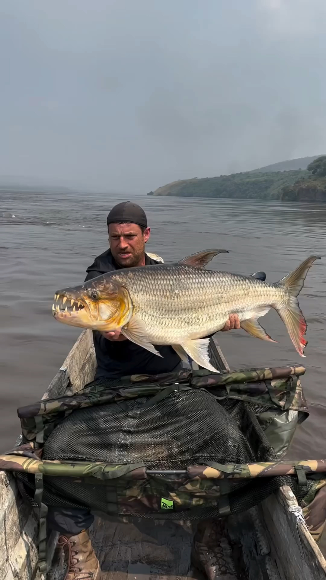 这条鱼的牙齿真吓人